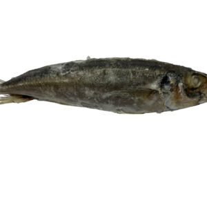 Horsemackarel per kg WESTCOAST