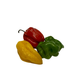 Habanero / piment / pepper / pili pili / papryczka
