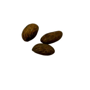 Bitter Kola Nuts KG Petit Cola na wage